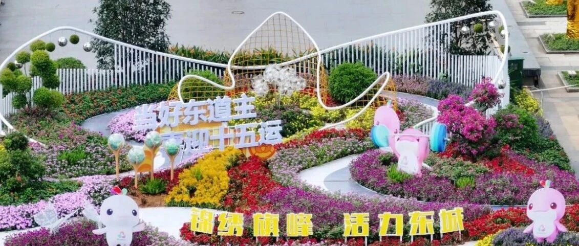 【十五全运】东莞以生态之笔绘就“美丽全运”新画卷